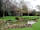 Haselbury Mill: One of the ponds near the Mill (photo added by chelle_h on 07/01/2019)