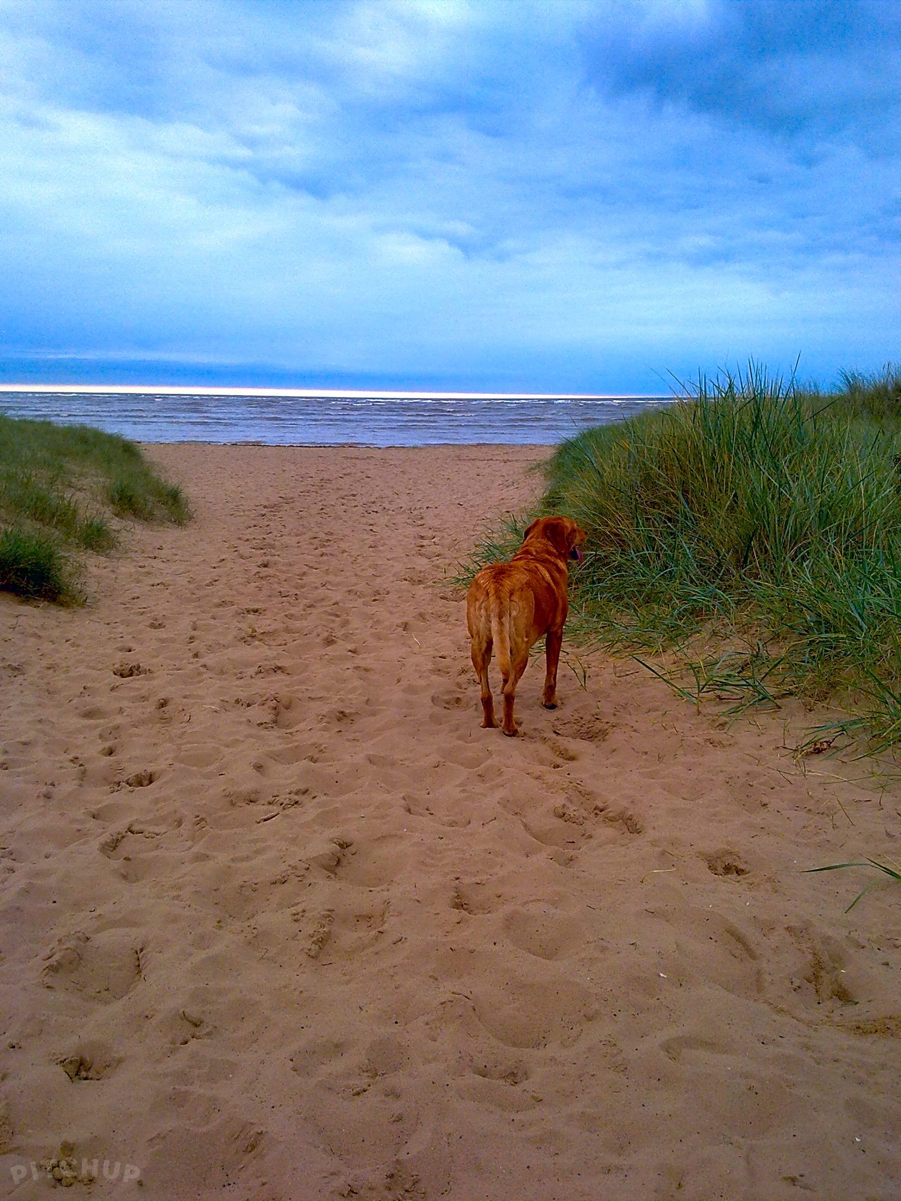 Swallow Park Caravan Site, Mablethorpe Pitchup®