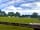 Sussex Topiary Campsite: Electric and non-electric grass pitches (photo added by manager on 09/07/2021)