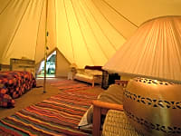 Tipi
