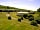 Castle Point Caravan Site: Statics area (photo added by manager on 23/05/2015)