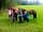 Buckhurst Campsite: Meet the horses