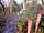 Blackberry Wood Campsite: Lovely little 3 night stay in February/March 2014