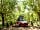 WeCamp Cala Montgó: Pitch in the woods