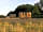 Cadora Woods Glamping: Summer evening