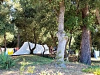 Θέση για σκηνή σε φλοιό με ρεύμα