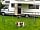 Gloucester Camping at Court Farm: We create a secure garden with linkable panels to allow our dogs to be untethered during their hols