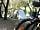 Camping Estanyet: Camp under the trees
