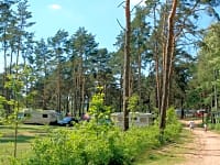 Pitches among the trees Pitches among the trees