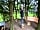 Kevindale Campsite: Inside of the tree den