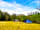 Tireithin Meadow Camping Retreat (photo ajoutée par le gestionnaire)