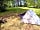 Meadow Tree Farm: Tranquil pitch surrounded by trees