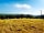 Mattiscombe Farm Camping: Full site on the 2021 Spring Bank Holiday for opening weekend
