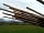 Gopsall Hall Farm