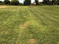 Level camping field Level camping field