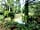 The Firs Fishery and Campsite: Walk around the lake