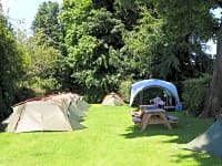 Grass pitches Grass pitches