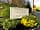 Portesham Dairy Farm Campsite: Campsite entrance