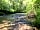 Wheeldon Farm: River