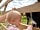 Maple Meadow Camping: The friendly neighbours