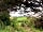 East Balthangie Caravan Park: View across the garden (photo added by  on 11/08/2020)