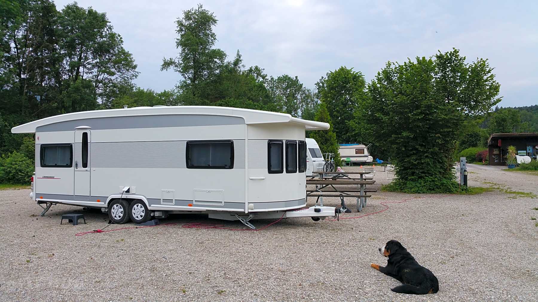 Wefahumanitre Organisation E V Spende Jetzt Wefahumanitre Organisation E V Spende Jetzt