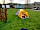 The Old Station Caravan Park: Our pitch and the tea room/office behind. Nice and close to the facilities!