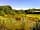 Appledore Park: Carp fishing lake