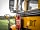 American School Bus Glamping at Petruth Paddocks: Old School design...