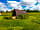 Slades Farm Glamping: Surrounded by Salisbury Plain landscape (photo added by manager on 10/10/2022)