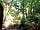 Holmans Woods