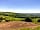 The Racecourse Retreat