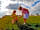 Hoburne Naish: Hoburne Naish