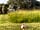 Crofts Barn (фото добавлено amy_d413436 03.06.2023)