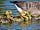 Ninham Country Holidays: Goslings