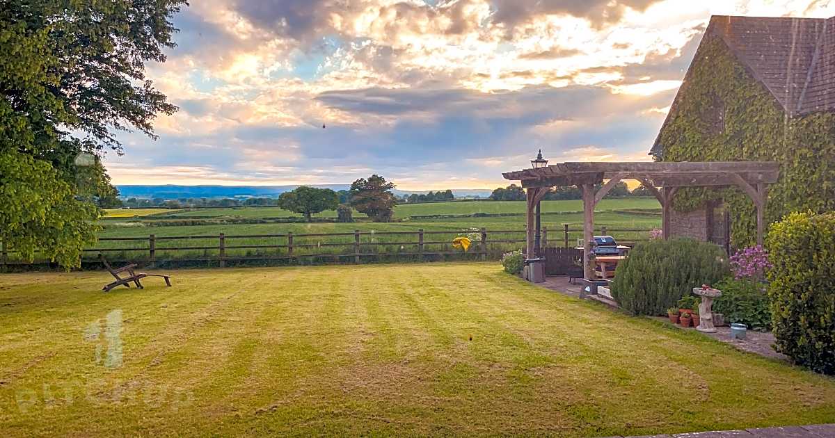 10+ New Holstein Picnic 2022