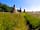 Twitey's Tipis and Campsite: Tipis