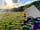 Tregella Place Camping: Stunning views at Tregella Place!