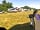 Gables Farm Touring and Camping: Touring field, lots of space in the middle to play