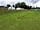 Haldon View Campsite: Well-kept grass pitches