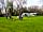 Woodside Field Motorhome Park: Guests enjoying the day