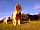 Langstone Manor Holiday Park: Enigmatic Dartmoor ponies