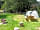 Ryeford Ponds Glamping: Comfortable spots for pitching your tent, with a mixture of sun and shade for comfort