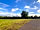 Ashton Drove Motorhome Park: Site field