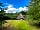 Bowland Wild Boar Park