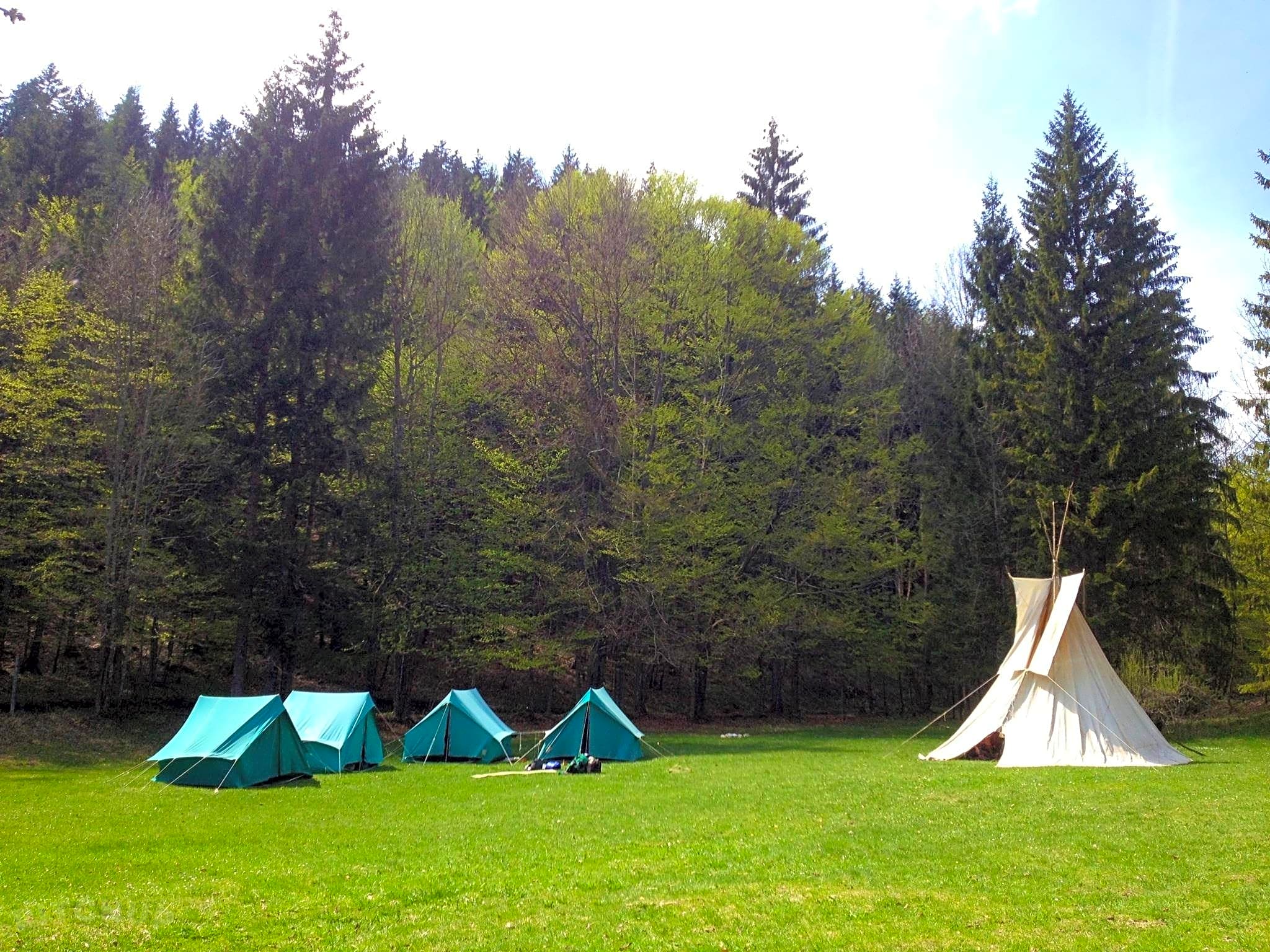 Natura Eco Camp, Kranjska G picture
