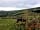 Girt Down Farm: Top north Devon views