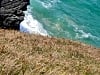 Porthcothan Clifftop Camping (foto adicionada em 27/08/2024)