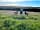 Maple Meadow Camping: Dog-friendly campsite