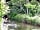 Cheddar Bridge Touring Park: Yeo River